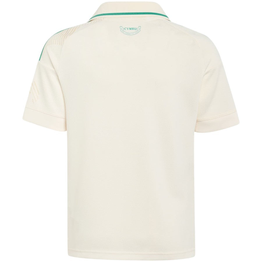 Camisola 26/27 País de Gales Alternativa