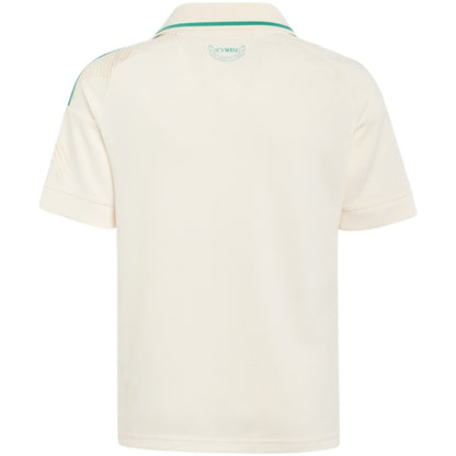 Camisola 26/27 País de Gales Alternativa